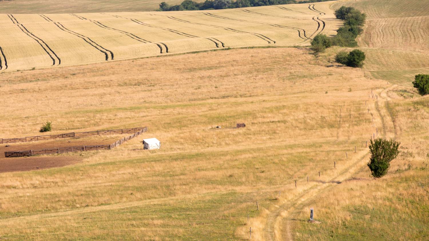 Terra Borza Teutonica
